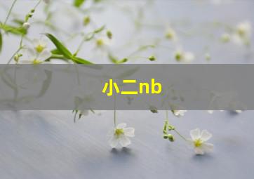 小二nb