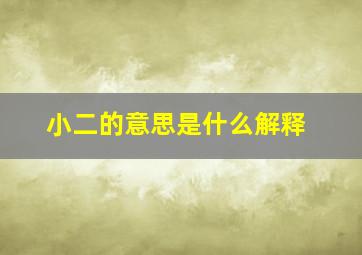 小二的意思是什么解释