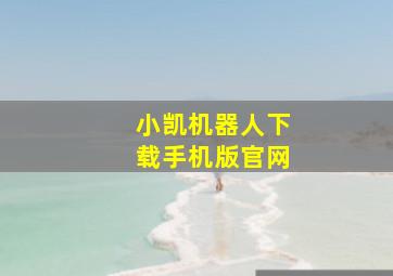 小凯机器人下载手机版官网