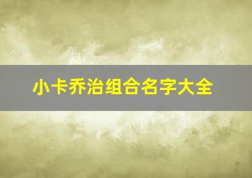 小卡乔治组合名字大全