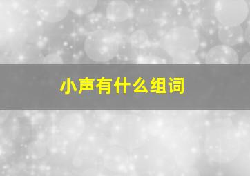 小声有什么组词