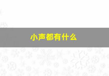 小声都有什么