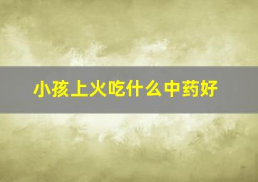 小孩上火吃什么中药好