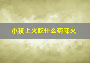 小孩上火吃什么药降火