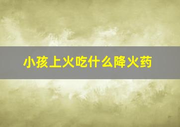 小孩上火吃什么降火药