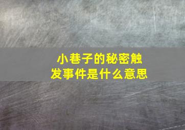 小巷子的秘密触发事件是什么意思