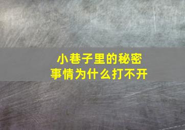 小巷子里的秘密事情为什么打不开