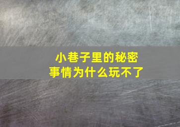 小巷子里的秘密事情为什么玩不了