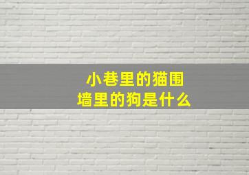 小巷里的猫围墙里的狗是什么