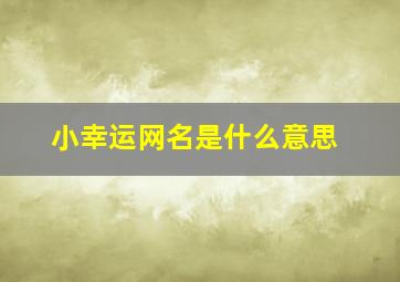 小幸运网名是什么意思