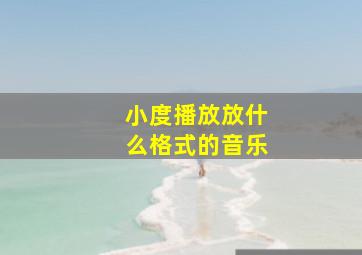 小度播放放什么格式的音乐