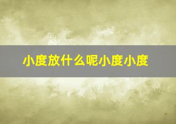 小度放什么呢小度小度