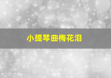 小提琴曲梅花泪