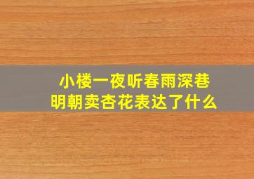 小楼一夜听春雨深巷明朝卖杏花表达了什么