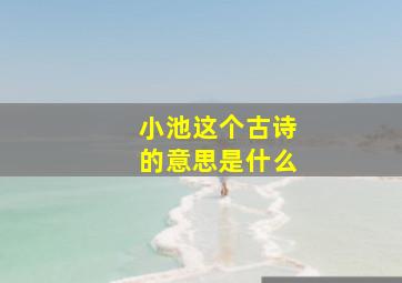 小池这个古诗的意思是什么