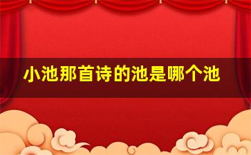 小池那首诗的池是哪个池