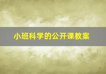 小班科学的公开课教案