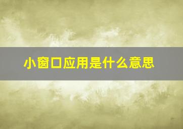 小窗口应用是什么意思