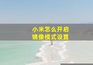 小米怎么开启镜像模式设置