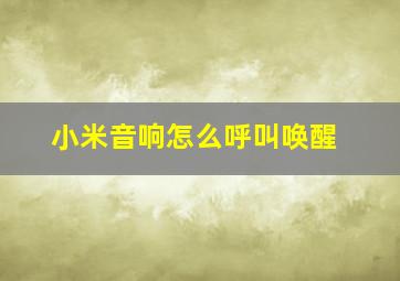 小米音响怎么呼叫唤醒