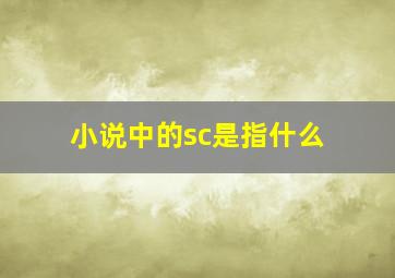 小说中的sc是指什么