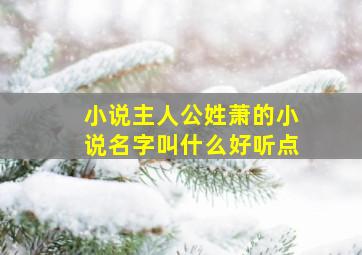 小说主人公姓萧的小说名字叫什么好听点