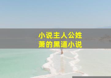 小说主人公姓萧的黑道小说