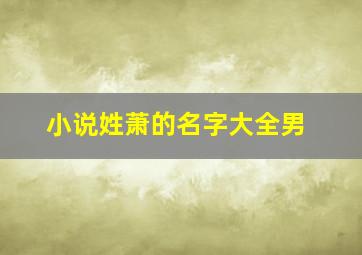 小说姓萧的名字大全男