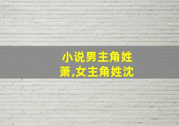 小说男主角姓萧,女主角姓沈