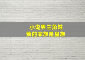 小说男主角姓萧的家族是皇族