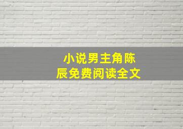 小说男主角陈辰免费阅读全文