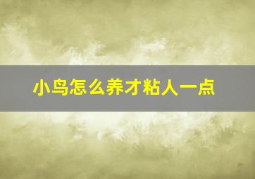 小鸟怎么养才粘人一点