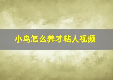 小鸟怎么养才粘人视频