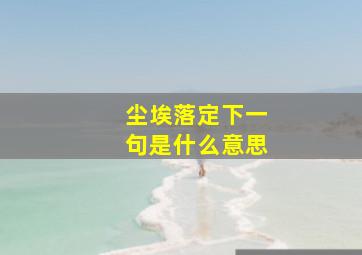 尘埃落定下一句是什么意思