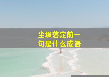 尘埃落定前一句是什么成语