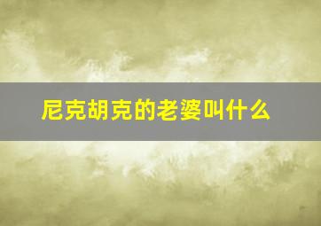 尼克胡克的老婆叫什么