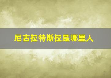 尼古拉特斯拉是哪里人