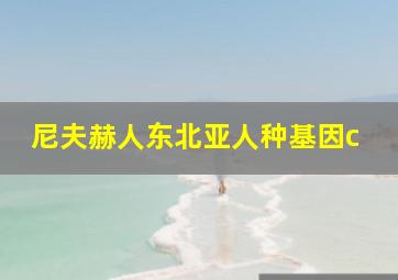 尼夫赫人东北亚人种基因c