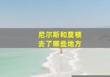 尼尔斯和莫顿去了哪些地方