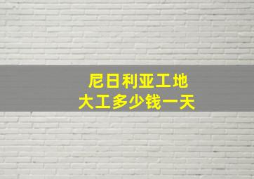 尼日利亚工地大工多少钱一天