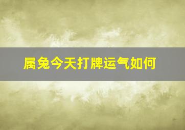 属兔今天打牌运气如何