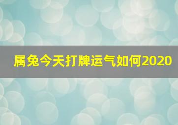 属兔今天打牌运气如何2020