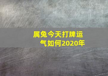 属兔今天打牌运气如何2020年