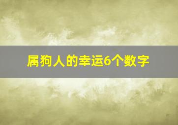 属狗人的幸运6个数字