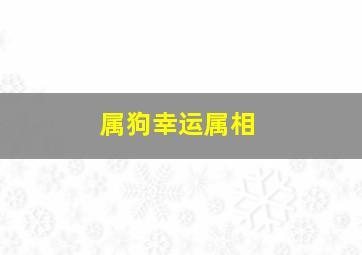 属狗幸运属相