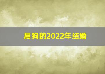 属狗的2022年结婚