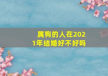 属狗的人在2021年结婚好不好吗