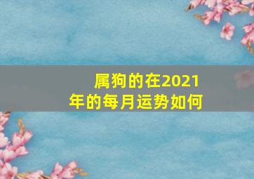 属狗的在2021年的每月运势如何