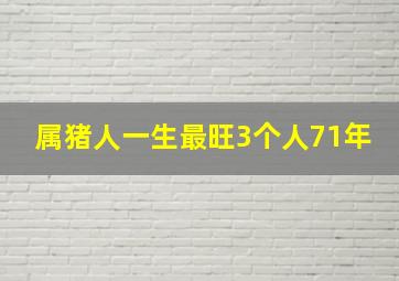 属猪人一生最旺3个人71年