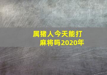 属猪人今天能打麻将吗2020年